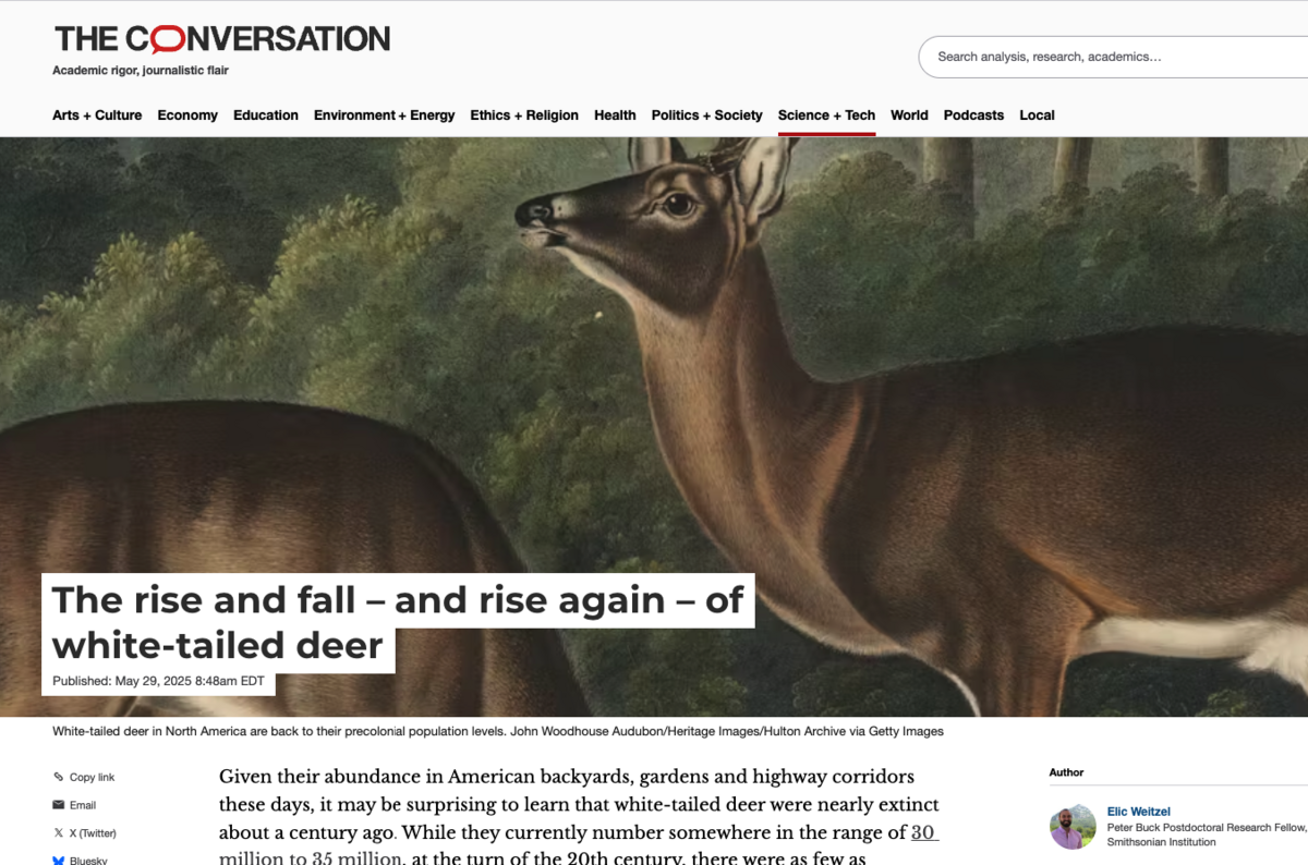 only links to authoritative sites